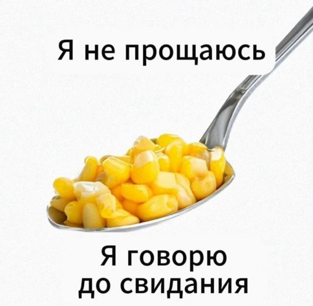 Кто привел с собой кита?