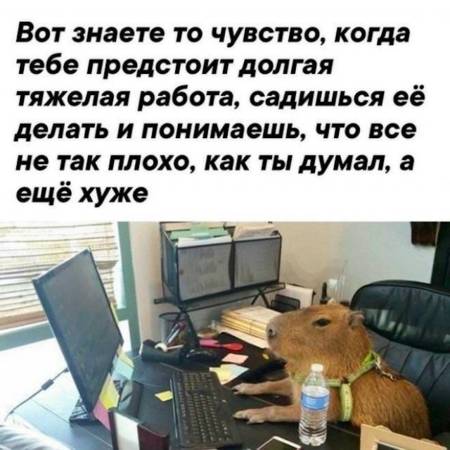 Картиночки, баянчики 07 февраля