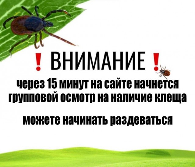 Наконец-то.