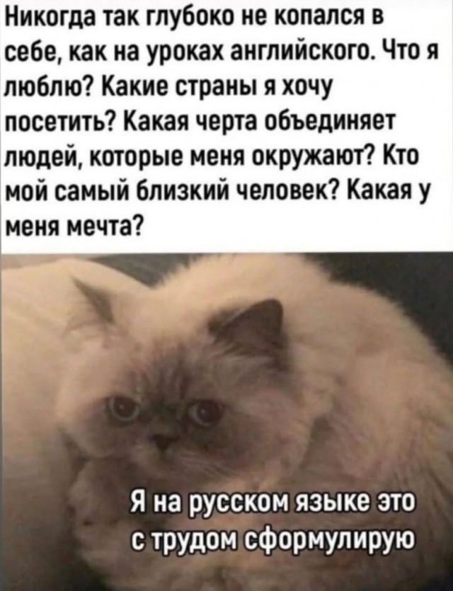 Картинки для настроения