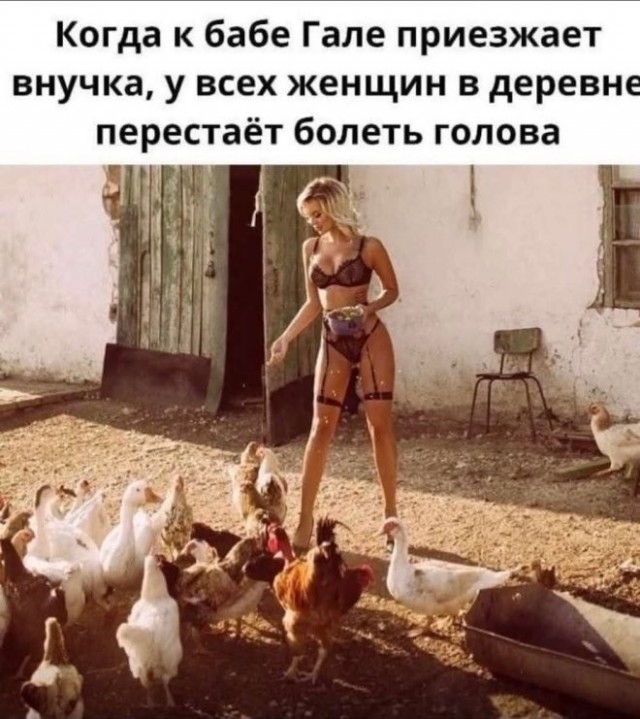 Веселые картинки в пятницу (03.07)