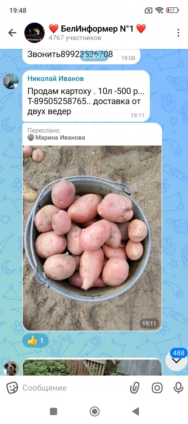 Что едят на крайнем севере?
