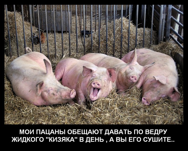 Украина. Время заготовки кизяков заканчивается