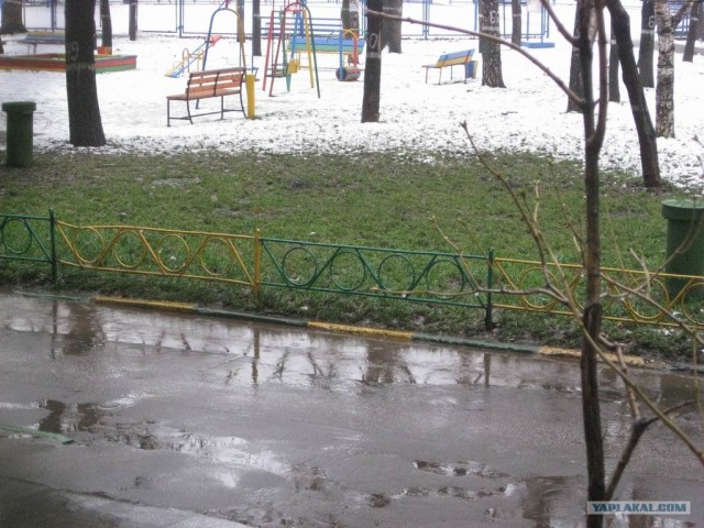 Зимние мотивы