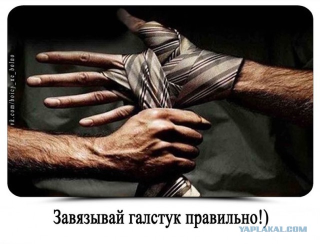 Прикольные фото и картинки