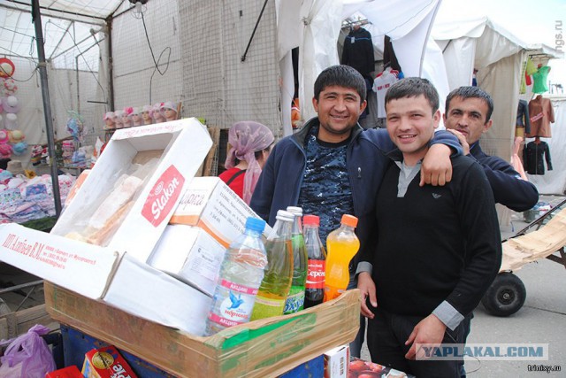 Подборка веселых картинок