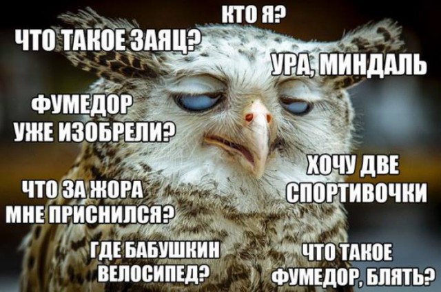 Ударная доза тупежа на начало недели
