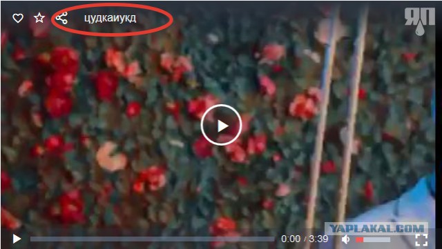 Дископровокация - Света и Олег (18+)