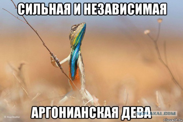 Если ты "настоящий", то ты должен всем