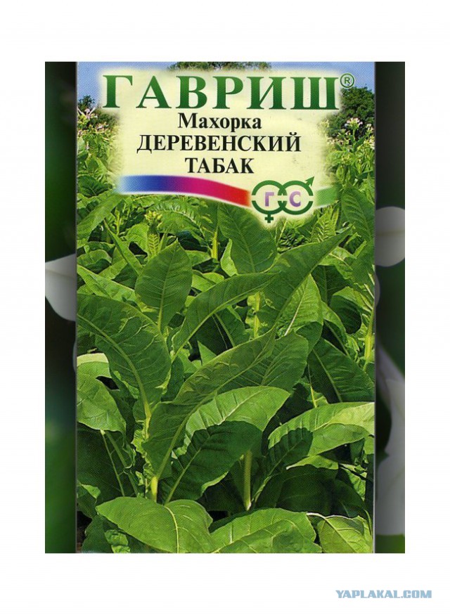 Табак для сигарет.