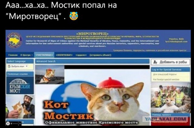 Смешные комментарии из социальных сетей 25.05.2018