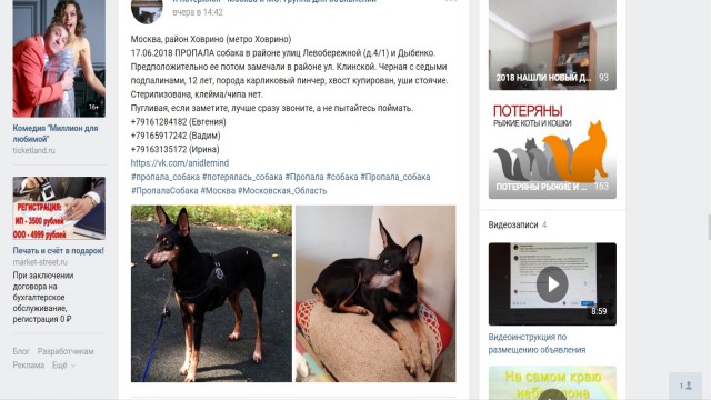 Народ подскажите что за зверь?