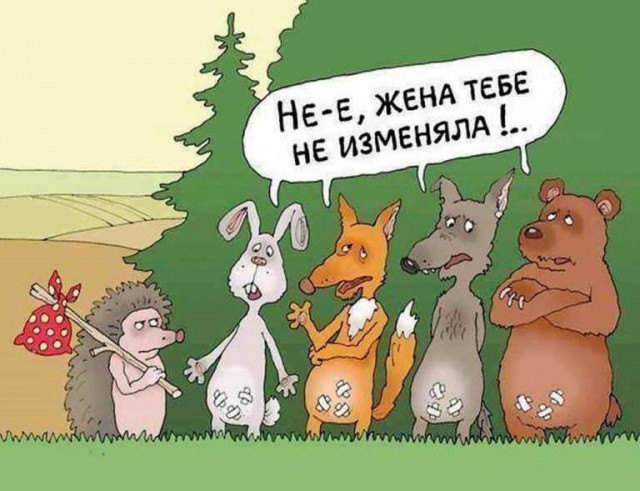 Как чешется ёжик?