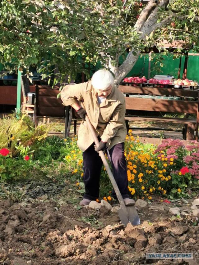 Самогонщик 80лвл