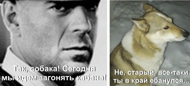 Алименты в случае, если женщина вышла замуж