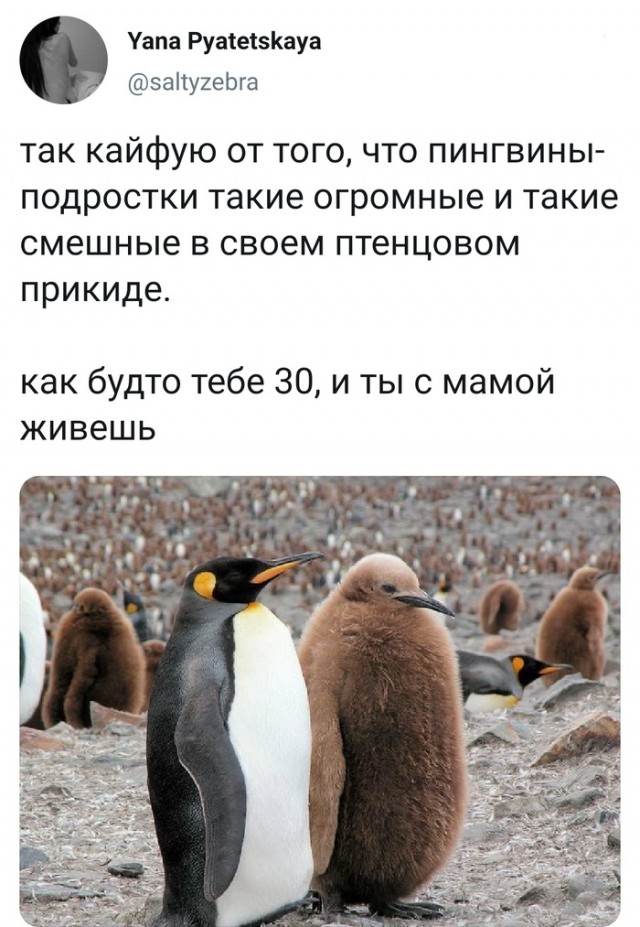 Всем хорошего настроения с картинками