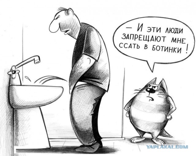 Даёшь картинкой по среде (26.02.2020)
