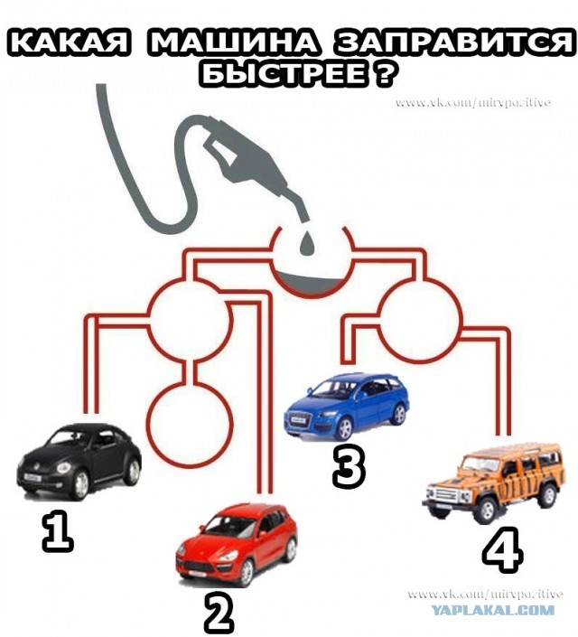Немного картинок для настроения 26.02.20