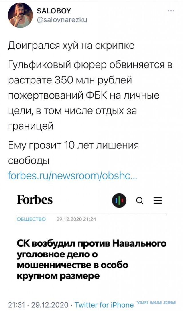 СК возбудил против Алексея Навального уголовное дело о мошенничестве в особо крупном размере