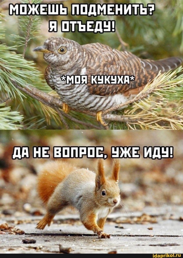 Немного картинок с надписями и без - 15.03.2021