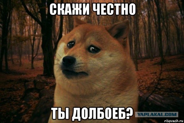 Феминизм - это безумие. Подтверждение тезиса