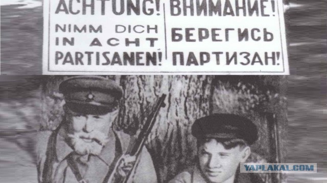 Зимний ад для нацистов: как советские партизаны Дорогобужа охотились на эсэсовцев