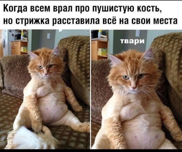 Утренняя подборка картинок и мемов - 7