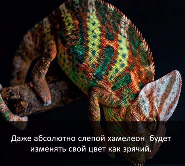 70 удивительных фактов