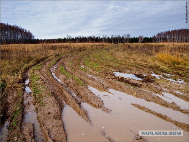 Полевая дорога. Северная Бавария