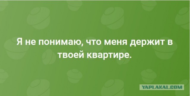 Почему всё больше мужчин избегают официальных отношений