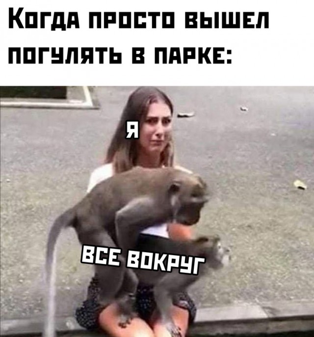 Картинки и мемы для настроения  - 31