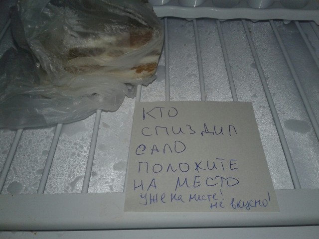 У владельца наркохолодильника на юге Петербурга нашли еще и плантацию