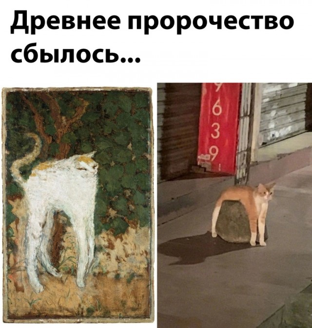 Весёлый полтишок 5.08.22