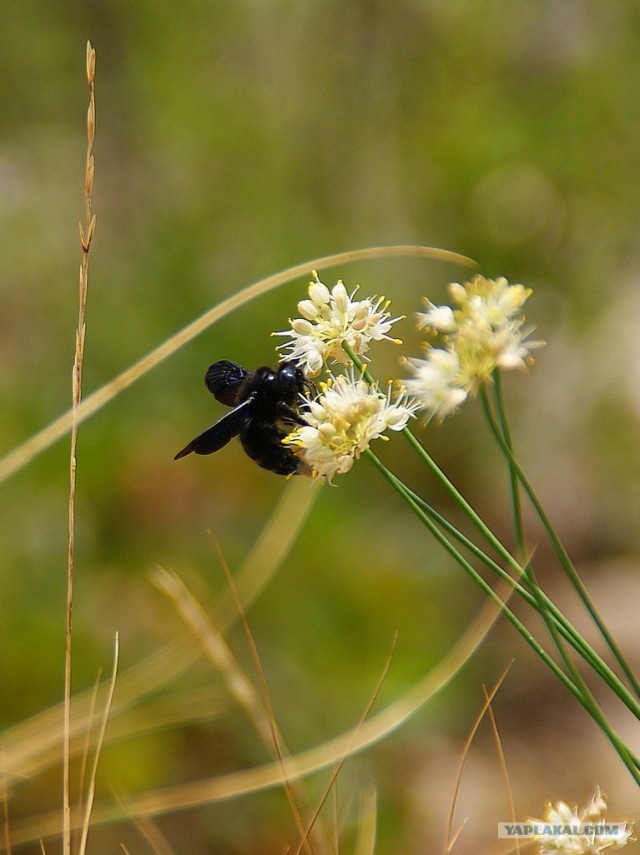 Прогулка по Крыму