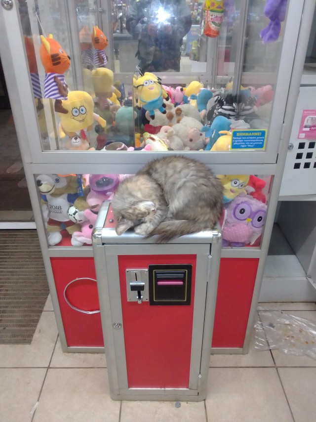 Несговорчивый сотрудник банка
