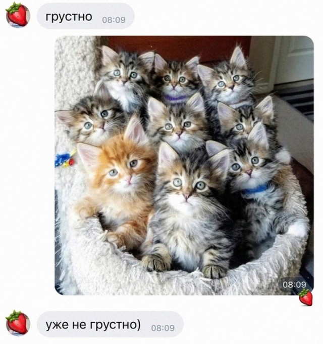 Картинки и мемы. Выходные близко...