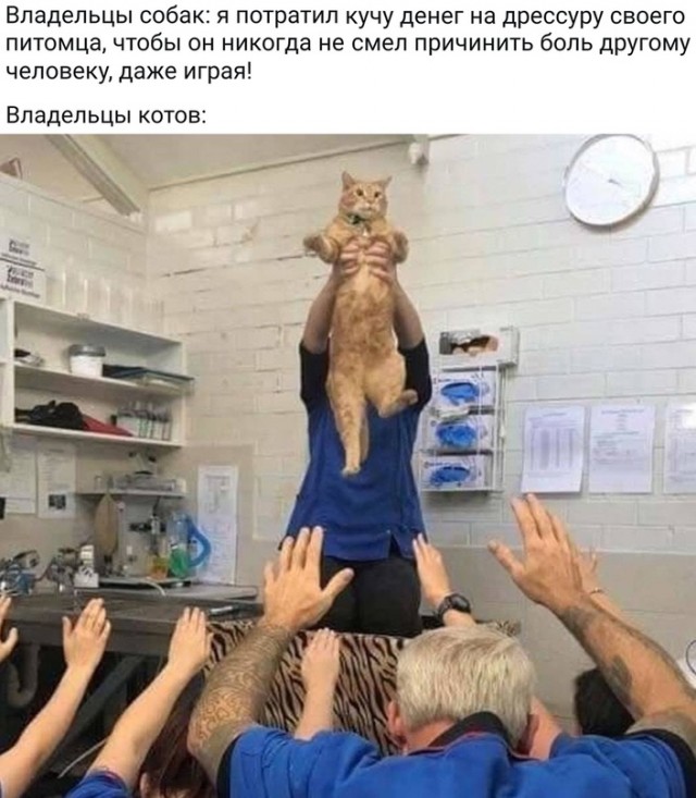 Всем хороших выходных - картинки и т.п.