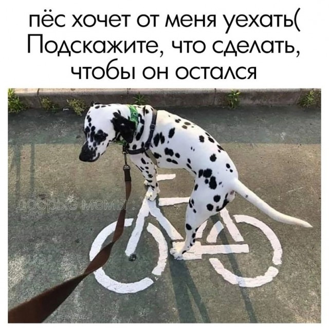 Так себе картинки 24.07.23