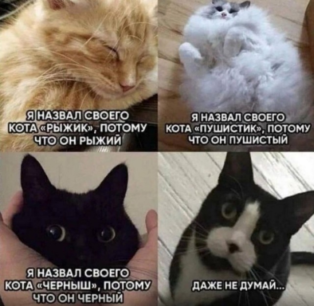 Всего понемногу. От 03.10.23