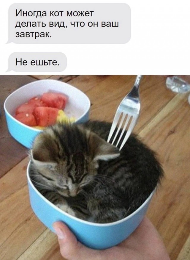 Картинок разной степени еб@нутости пост.