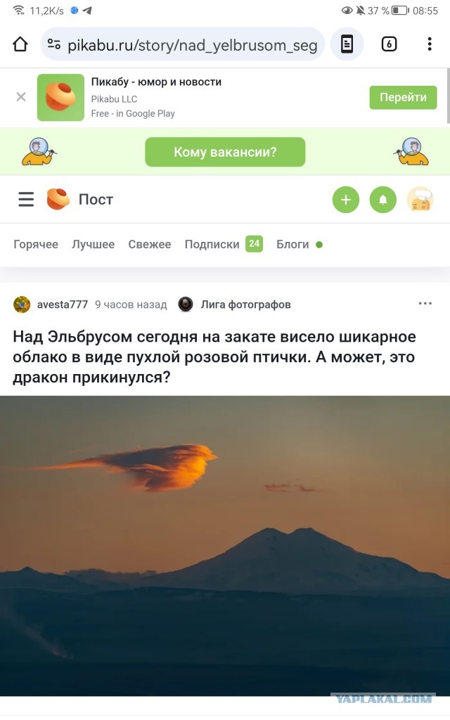 Воробей над Эльбрусом