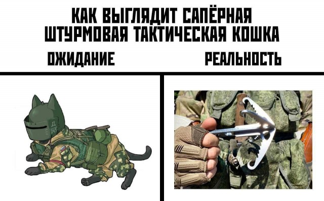 Не очень адекватный юмор