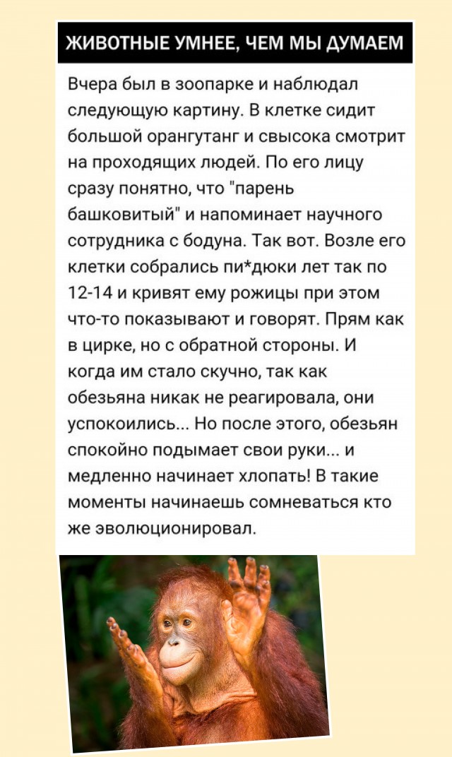 Немного наркомании и шизофрении в ленту