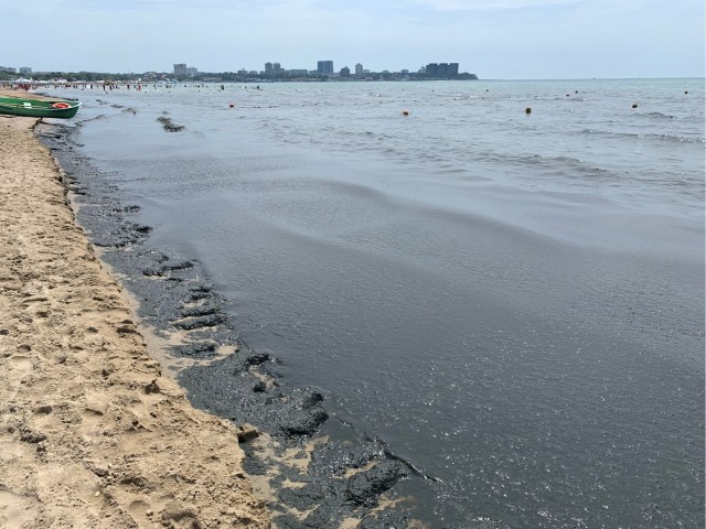 Вода теплая: стала жижей из водорослей, медуз, тел и ротавируса — народ делится впечатлениями о Черном море