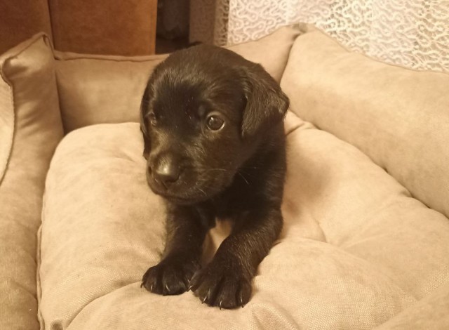 Теперь четверг - и мой день!