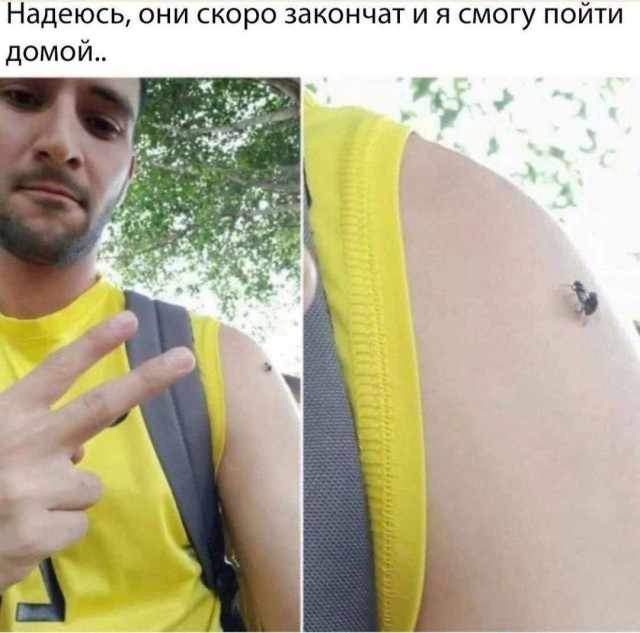 Так себе картинки 22.07.24