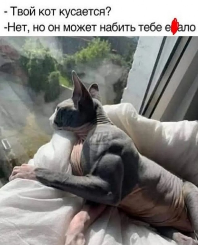 Завалялось тут случайно немного забавных картинок