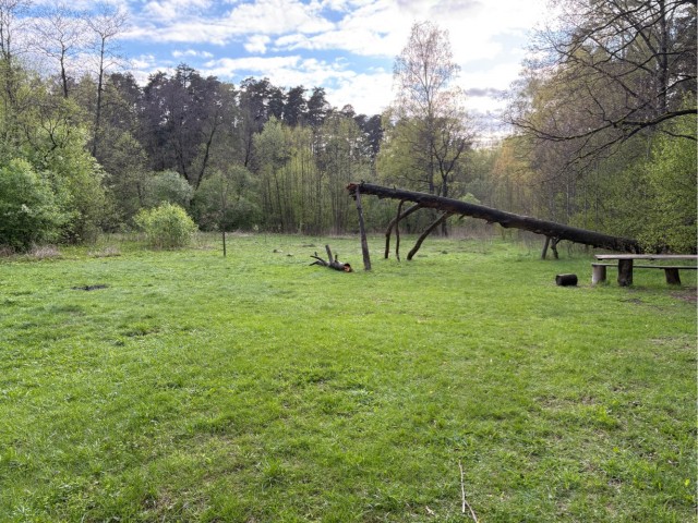 Неожиданно обнаружил полянку