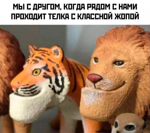 Веселые картинки в понедельник (12.05)