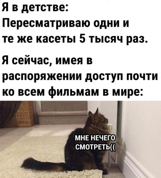 Веселые картинки в маленькую пятницу (13.08)